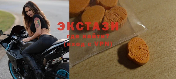 индика Осташков