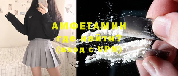 индика Осташков