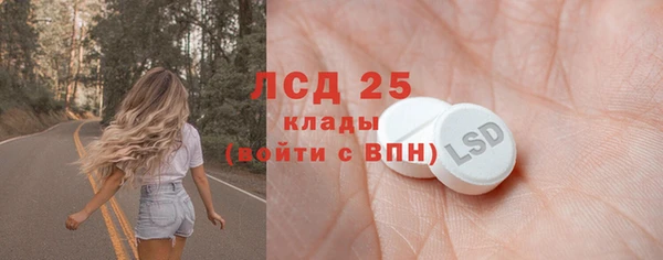 индика Осташков