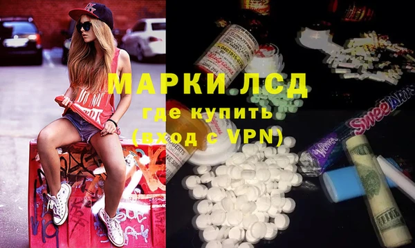 прущие грибы Слюдянка