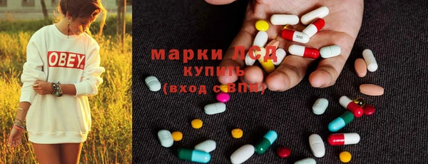 ПСИЛОЦИБИНОВЫЕ ГРИБЫ Пересвет