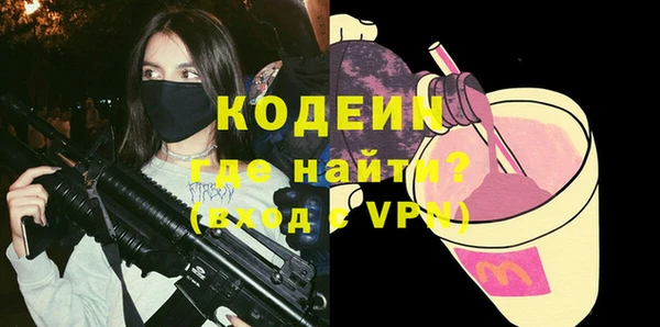 индика Осташков