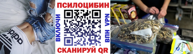 Псилоцибиновые грибы Magic Shrooms  наркота  Старица 